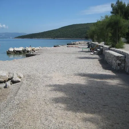 Dragi *
