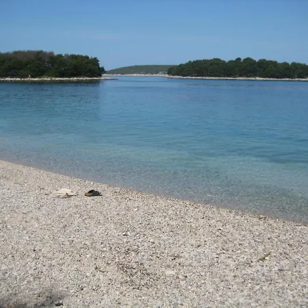 Daire Dragi